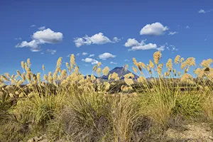 New Zealand, North Island, Tongario National Park New Zealand, North Island, Tongario National Park