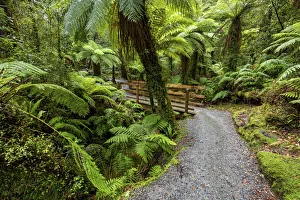 New Zealand, South Island, Hokitika Gorge Trail New Zealand, South Island, Hokitika Gorge Trail