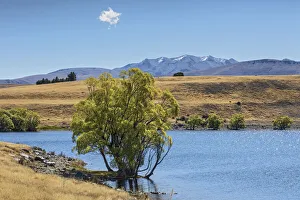 New Zealand, South Island, Lake McGregor New Zealand, South Island, Lake McGregor