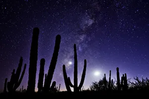 Night sky, La Ventanaz, Baja California, Mexico Night sky, La Ventanaz, Baja California, Mexico