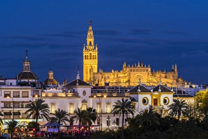 Night view of city skyline with Cathedral and Giralda bell tower, Seville, Andalusia Night view of city skyline with Cathedral and Giralda bell tower, Seville, Andalusia