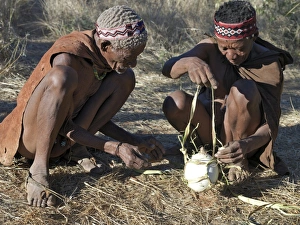 Two N!!S hunter-gatherers make a bark carrier for an ostrich egg Two N!!S hunter-gatherers make a bark carrier for an ostrich egg