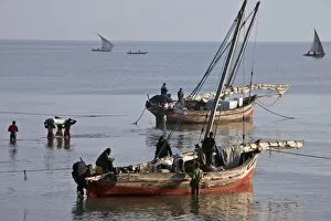 Off-loading cargo from dhows from Zanzibar at dawn