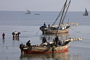 Off-loading cargo from dhows from Zanzibar at dawn Off-loading cargo from dhows from Zanzibar at dawn