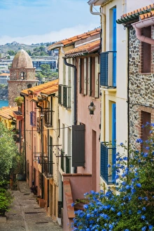Old town street, Collioure, Languedoc-Roussillon, France Old town street, Collioure, Languedoc-Roussillon, France