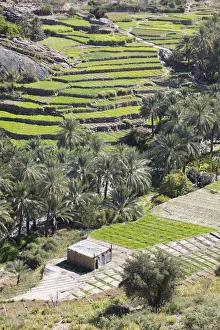 Oman, Dakhiliyah Governate, Jebel Hajar, Balad Sayt (Bilad Sayt) Oman, Dakhiliyah Governate, Jebel Hajar, Balad Sayt (Bilad Sayt)