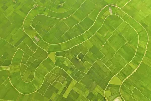 : Green Collection