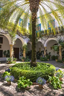 Palacio de Viana, city of Cordoba, Andalusia, Spain Palacio de Viana, city of Cordoba, Andalusia, Spain