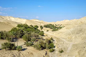 Palestine, West Bank, Jericho. Wadi Quelt, Prat River gorge Palestine, West Bank, Jericho. Wadi Quelt, Prat River gorge