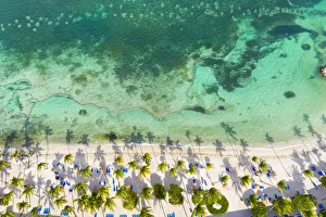 Palm-fringed beach washed by Caribbean Sea from above by drone, St Palm-fringed beach washed by Caribbean Sea from above by drone, St