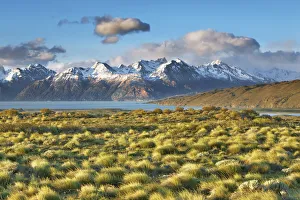 Pampa landscape at Lago Viedma - Argentina, Santa Cruz, Los Glaciares, El Chalten Pampa landscape at Lago Viedma - Argentina, Santa Cruz, Los Glaciares, El Chalten