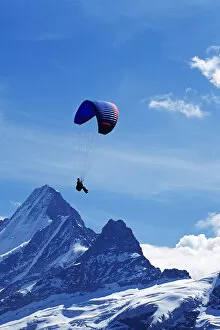 Paragliding, Schreckhorn, Grindelwald, Bernese Oberland, Switzerland