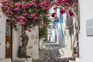 Parikia, Paros, Cyclade Islands, Greece Parikia, Paros, Cyclade Islands, Greece