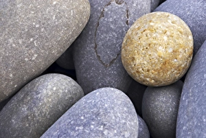 Images Dated 14th November 2006: Pebbles in Sandymouth Beach, Cornwall, UK
