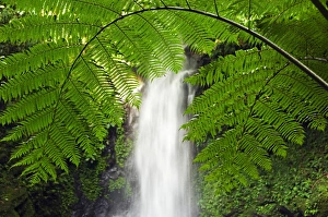 Philippines, South East Luzon, Bicol Province Philippines, South East Luzon, Bicol Province