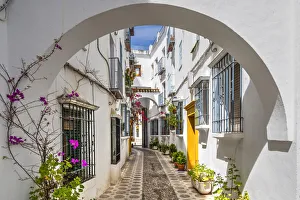 Picturesque cobbled alley with whitewashed houses and flowers, Cordoba, Andalusia, Spain Picturesque cobbled alley with whitewashed houses and flowers, Cordoba, Andalusia, Spain