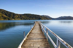 Picturesque wharf in the idyllic Kenepuru Sound, Marlborough Sounds, South Island Picturesque wharf in the idyllic Kenepuru Sound, Marlborough Sounds, South Island
