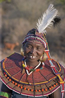 A Pokot woman wearing the traditional beaded ornaments of her tribe which denote her married status A Pokot woman wearing the traditional beaded ornaments of her tribe which denote her married status