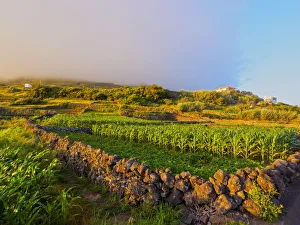 Portugal, Azores, Corvo, Fields near Vila do Corvo Portugal, Azores, Corvo, Fields near Vila do Corvo