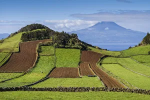 Portugal, Azores, Sao Jorge Island, Rosais of fields and the Pico Volcano Portugal, Azores, Sao Jorge Island, Rosais of fields and the Pico Volcano