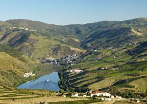 Portugal, Douro, Peso da ReguaTerraced vineyards Portugal, Douro, Peso da ReguaTerraced vineyards