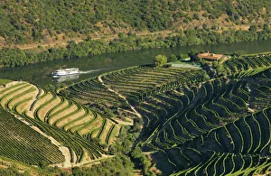Portugal, Douro, Terraced vineyards and boat Portugal, Douro, Terraced vineyards and boat