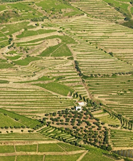 Portugal, Douro, Terraced vineyards and farm Portugal, Douro, Terraced vineyards and farm