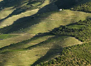 Portugal, Douro, Terraced vineyards and house Portugal, Douro, Terraced vineyards and house