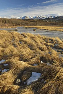 Potter marsh in winter outside of Anchorage, Alaska, USA Potter marsh in winter outside of Anchorage, Alaska, USA