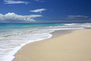 Pristine Beach, Barbuda, Caribbean, West Indies Pristine Beach, Barbuda, Caribbean, West Indies