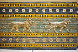 Processional Way from Babylon Pergamon Museum Our beautiful Wall Art and Photo Gifts include Framed Prints Photo Prints Poster Prints Canvas Prints Jigsaw Puzzles Metal Prints and so much more