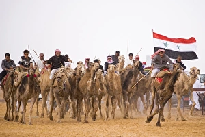 A race-winning camel in the paddock at Palmyra as storm clouds gather A race-winning camel in the paddock at Palmyra as storm clouds gather