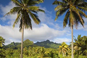 Rarotonga, Cook Islands, South Pacific Rarotonga, Cook Islands, South Pacific