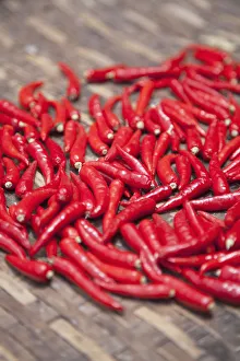 Red chillies, Hoi An (UNESCO World Heritage Site), Quang Ham, Vietnam Red chillies, Hoi An (UNESCO World Heritage Site), Quang Ham, Vietnam