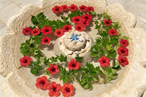 Red Hibiscus Flowers in Water Font, Rhodes, Greece Red Hibiscus Flowers in Water Font, Rhodes, Greece
