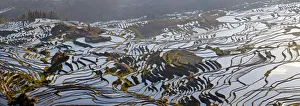 Reflections off water filled rice terraces, Yuanyang County, Honghe, Yunnan Province Reflections off water filled rice terraces, Yuanyang County, Honghe, Yunnan Province