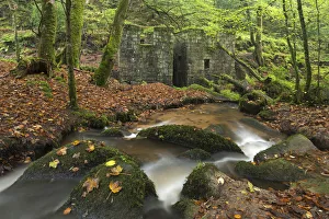 Remains of gunpowder mills at Kennall Vale Nature Reserve in Ponsanooth near Falmouth Remains of gunpowder mills at Kennall Vale Nature Reserve in Ponsanooth near Falmouth