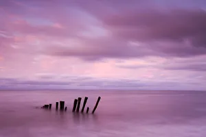 Remains of a wooden groyne at Bossington Beach, Exmoor National Park, Somerset, England