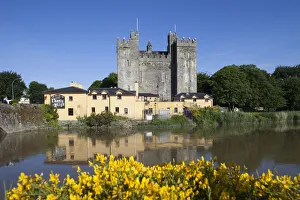 Republic of Ireland, County Clare, Bunratty Castle Republic of Ireland, County Clare, Bunratty Castle