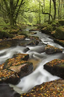 River Fowey tumbling through rocks at Golitha Falls, Cornwall, England River Fowey tumbling through rocks at Golitha Falls, Cornwall, England