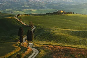 road to farmhouse in Montalcino, Tuscany, Italy road to farmhouse in Montalcino, Tuscany, Italy