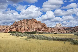 Rock formations, Zion nationl park, Utah, USA Rock formations, Zion nationl park, Utah, USA