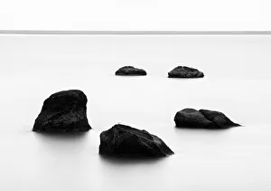 : Black and White Collection