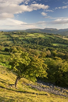Images Dated 24th August 2011: Rolling countryside surrounding the Usk Valley, Brecon Beacons National Park, Powys, Wales