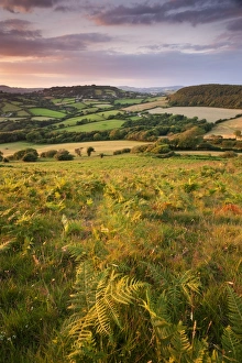 Rolling Dorset countryside viewed from Golden Cap, Dorset, England. Summer Rolling Dorset countryside viewed from Golden Cap, Dorset, England. Summer