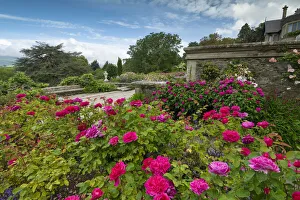 Rose Garden, Bodnant Gardens, near Tal-y-Cafn, Conwy, Wales Rose Garden, Bodnant Gardens, near Tal-y-Cafn, Conwy, Wales