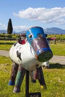 Images Dated 31st March 2014: Rural letter box, Blenheim, Marlborough, South Island, New Zealand