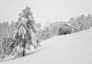 Rural pasture under the snow at Alpe Olano, Valgerola, Valtellina, Lombardy, Italy, Alps Rural pasture under the snow at Alpe Olano, Valgerola, Valtellina, Lombardy, Italy, Alps