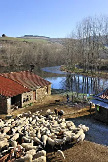 Rural scene in Gimonde. Montesinho Natural Park, Portugal Rural scene in Gimonde. Montesinho Natural Park, Portugal