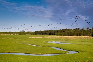 Salt marsh and lightroom, Amrum Island, Northern Frisia, Schleswig-Holstein, Germany Salt marsh and lightroom, Amrum Island, Northern Frisia, Schleswig-Holstein, Germany